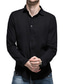 abordables camisas casuales de los hombres-Hombre camisa de lino Cuello Vuelto Primavera verano Manga Larga Negro Blanco Rosa Plano Casual Diario Ropa