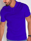 Недорогие классическое поло-Муж. Рубашка Футболка-поло Рубашка для гольфа Воротник-поло Лето С короткими рукавами Светло-синий Темно-синий Черный Полотняное плетение на открытом воздухе Повседневные Одежда
