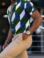 お買い得  メンズプリントシャツ-男性用 シャツ サマーシャツ チェック 折襟 ルビーレッド 青 + 緑 グレー アウトドア ストリート 半袖 ボタンダウン 衣類 ファッション デザイナー カジュアル 高通気性