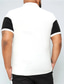 baratos polo masculino plus size-Homens Tamanho Grande Camiseta Polo Grande e Alto Bloco de cor Aberto para a Lateral Imprimir Manga Curta Primavera Verão Esportes Moda Roupa de rua Designer Ao ar livre Rua Blusas
