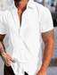 abordables camisas casuales de los hombres-Hombre Abotonar la camisa Camisa de verano Camisa casual Negro Blanco Azul Piscina Gris Manga Corta Plano Cuello Vuelto Calle Vacaciones Abotonar Ropa Moda Ocio