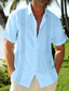 お買い得  メンズカジュアルシャツ-男性用 リネンシャツ サマーシャツ ビーチシャツ 折襟 夏 半袖 ホワイト ブルー カーキ色 グラフィック カジュアル 日常 衣類 ボタンダウン