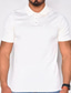 baratos polo clássico-Homens Camiseta Polo Camisa de golfe Colarinho polo Verão Manga Curta Vinho Preto Branco Tecido Ao ar livre Diário Roupa