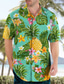 billiga 3d-skjortor för män-Herr Skjorta Hawaii skjorta Grafisk skjorta Aloha skjorta Blommig Ananas Groda Nedvikt Olivgrön Röd grön Rodnande Rosa Rubinrött Blå 3D-tryck Utomhus Gata Kortärmad Button-Down Kläder Hawaiisk