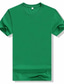 levne Pánská trička pro volný čas-pánské tričko jednobarevné tričko s kulatým výstřihem street denní nošení oblečení oblečení bavlna klasické a nadčasové