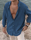 ieftine cămăși casual pentru bărbați-Bărbați cămașă de in Cămașă Culoare solidă Răsfrânt Albastru piscină Maro Gri Zilnic Concediu Manșon Lung Buton în jos Îmbrăcăminte Simplu Casual Comfortabil