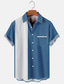 billige Hawaiiskjorter-Herre Bowling skjorte Lejrskjorte Farveblok Aftæpning Hvid+Rød Blå Grøn Daglig Ferie Kortærmet Knap ned Tøj Hawaiiansk Farveblok Årgang Bekvem