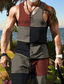 cheap Men&#039;s T shirt and Shorts Set-Men&#039;s Vest Top T-shirt Suits Sleeveless T Shirt for Men Graphic Striped Crew Neck Clothing Apparel 3D Print Daily Sports Sleeveless 2 Piece Print Fashion Designer Muscle