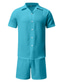 baratos Conjuntos de camisas masculinas-Homens Camisa Social camisa de botão camisa de verão Conjunto de camisa Camisa casual Preto Branco Verde Claro Azul Azul Escuro Manga Curta Tecido Colar de acampamento Diário Férias 2 Peças Roupa