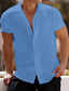 levne pánské neformální košile-Pánské Košile Košile pro volný čas Letní košile Kubánská košile Černá Bílá Námořnická modř Nebeská modř Hnědá Krátký rukáv Bez vzoru Límeček Denní Dovolená Oblečení Módní Na běžné nošení Pohodlné