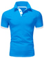 tanie klasyczna koszulka polo-Męskie Koszulka polo Koszula golfowa Biznes Codzienny Kołnierz polo Klasyczny Krótki rękaw Podstawowy Codzienny Jednokolorowe Równina Przycisk z przodu Lato Wiosna Jesień Regularny Jabłkowa ziele