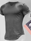 Недорогие Мужские повседневные футболки-Муж. Футболка Полотняное плетение V-образный вырез Для улицы Отпуск Короткие рукава Одежда Мода Оригинальный рисунок Классический