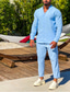 ieftine Seturi cămăși bărbați-Bărbați Cămașă cămașă de in 2 Piese Set cămașă Set de vară Negru Albastru piscină Manșon Lung Simplu Guler de stand Primavara vara Hawaiian Concediu Îmbrăcăminte De Bază