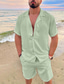 billige Herreskjortesæt-Herre Skjorte Button Up skjorte Sommer skjorte Skjorte sæt Casual skjorte Sort Hvid Lysegrøn Blå Mørkeblå Kortærmet Vanlig Lejrhalsbånd Daglig Ferierejse 2 stk Tøj Mode Hawaiiansk Afslappet Bekvem