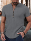 abordables camisas casuales de los hombres-Hombre camisa de lino Camisa casual Camisa de verano Henley Shirt Negro Blanco Vino Manga Corta Plano Escote en Pico Verano Casual Diario Ropa