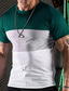 billige Casual T-shirts til mænd-Herre T-shirt Farveblok Rund Hals Ferierejse I-byen-tøj Kort Ærme Tøj Mode Basale Afslappet