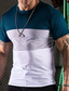 abordables T-shirts décontractés pour hommes-Homme T shirt Tee Bloc de couleur Ras du cou Vacances Sortie Manches courtes Vêtement Tenue Mode basique Décontractées