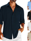 preiswerte Leinenhemden für Herren-Herren Hemd leinenhemd Lässiges Hemd Sommerhemd Strandhemd Schwarz Weiß Blau Langarm Glatt Kargen Frühling Sommer Hawaiianisch Festtage Bekleidung Tasche