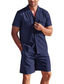 ieftine Seturi cămăși bărbați-Bărbați cămașă de in Cămașă Set cămașă Negru Alb Albastru piscină Manșon scurt Simplu Rever Primavara vara Hawaiian Concediu Îmbrăcăminte Buzunar