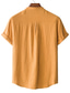 abordables camisas casuales de los hombres-Hombre camisa de lino Camisa de verano Camisa de playa Amarillo Azul Marrón Manga Corta Plano Escote Chino Primavera verano Hawaiano Festivos Ropa Bolsillo