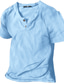 voordelige Casual T-shirts voor heren-Voor heren Henley-shirt T-shirt Effen Henley Straat Vakantie Korte mouw Button-omlaag Kleding Ontwerper Basic Modern eigentijds