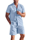 ieftine Seturi cămăși bărbați-Bărbați cămașă de in Cămașă Set cămașă Negru Alb Albastru piscină Manșon scurt Simplu Rever Primavara vara Hawaiian Concediu Îmbrăcăminte Buzunar