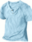 voordelige Casual T-shirts voor heren-Voor heren linnen overhemd Normaal shirt Zomer overhemd Strand hemd T-shirt Effen V-hals Casual Dagelijks Korte mouw Kleding Modieus Comfortabel