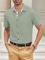 Χαμηλού Κόστους ανδρικά πουκάμισα casual-Ανδρικά Πουκάμισο Πουκάμισο με κουμπιά Casual πουκάμισο Καλοκαιρινό πουκάμισο Πουκάμισο παραλίας Μαύρο Λευκό Πράσινο Ανοικτό Βαθυγάλαζο Μπλε Κοντομάνικο Σκέτο Πέτο Καθημερινά Διακοπές Ρούχα