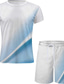 abordables Ensembles de t-shirts imprimés pour hommes-Homme Graphique Bloc de Couleur 2 pièces Ensembles de tees Ensemble short et T-shirt Tenues De T-shirts Manche Courte Col ras du cou Designer Occasionnel Confortable Extérieur Vacances Quotidien
