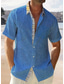 abordables chemises en lin pour hommes-Homme Chemise Chemise hawaïenne Imprimés Photos Feuilles Col rabattu Rouge Marron Beige Bleu + bleu Extérieur Plein Air Manches courtes Bouton bas Imprimer Vêtement Tenue Lin Tropique Mode Hawaïen