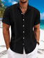 billiga fritidsskjortor för män-Herr Skjorta Guayabera skjorta linneskjorta Knapp upp skjorta Sommarskjorta Strandskjorta Svart Vit Blå Kortärmad Slät Krage Sommar Ledigt Dagligen Kläder