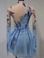 cheap Figure Skating Dresses-Figure Skating Dress Women&#039;s Girls&#039; Ice Skating Dress Outfits Sky Blue Mesh Spandex High Elasticity Competition Skating Wear Handmade Crystal / Rhinestone Long Sleeve Ice Skating Figure Skating