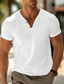 baratos Camisetas masculinas casuais-Homens Camisa Henley T-shirt Tecido Decote V Rua Férias Manga Curta Roupa Moda Designer Básico