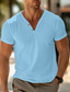 billige Casual T-shirts til mænd-Herre Henley-skjorte Tee Top Vanlig V-hals Gade Ferierejse Kort Ærme Tøj Mode Designer Basale