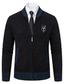 ieftine pulover cardigan pentru bărbați-Bărbați Pulover Pulover Cardigan Pulovere rochie pentru bărbați Striat Tricotat Regulat Tricotat Guler de stand Încălziri Contemporan modern Înapoi la Școală Purtare Zilnică Îmbrăcăminte Toamna iarna