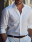 abordables Chemises Habillées-Homme Chemise Bleu Ciel Noir Blanche manche longue Plein Revers Printemps &amp; Automne Entreprise Casual Vêtement Tenue