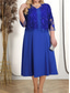 cheap Plus Size Party Dresses-Women&#039;s Plus Size Dress Set Lace Dress Party Dress Semi Formal Dress Elegant Fashion Plain Lace Embroidered Long Dress Maxi Dress 3/4 Length Sleeve Crew Neck Party Wedding Guest Pink Blue Spring Fall