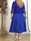 cheap Plus Size Party Dresses-Women&#039;s Plus Size Dress Set Lace Dress Party Dress Semi Formal Dress Elegant Fashion Plain Lace Embroidered Long Dress Maxi Dress 3/4 Length Sleeve Crew Neck Party Wedding Guest Pink Blue Spring Fall