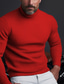 tanie sweter męski sweter-Męskie Sweter sweter Sweter z golfem Dzianina Prążkowany Robić na drutach Regularny Podstawowy Równina Golf Zatrzymujący ciepło Współczesny współczesny Dzienne zużycie Wyjściowe Odzież Jesień i zima
