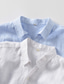baratos camisas de linho masculinas-100% Linho Homens Camisa Social camisa de linho Camisa casual Branco Azul Meia-Manga Tecido Lapela Primavera &amp; Outono Casual Diário Roupa