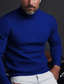 tanie sweter męski sweter-Męskie Sweter sweter Sweter z golfem Dzianina Prążkowany Robić na drutach Regularny Podstawowy Równina Golf Zatrzymujący ciepło Współczesny współczesny Dzienne zużycie Wyjściowe Odzież Jesień i zima