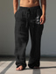 tanie spodnie codzienne-Męskie Zabytkowe Wąż Lniane spodnie Spodnie Średni Talia Na zewnątrz Dzienne zużycie Streetwear Jesień i zima Regularny