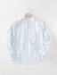 رخيصةأون قمصان الكتان الرجالية-100% كتان رجالي قميص قميص كتان قميص غير رسمي أزرق كم طويل مخطط رقبة طوقية مرتفعة ربيع &amp; الصيف فضفاض مناسب للبس اليومي ملابس