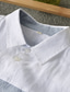 Недорогие мужские льняные рубашки-100% лен Муж. Рубашка льняная рубашка Повседневная рубашка Белый Длинный рукав Контрастных цветов Лацкан Весна &amp; осень Повседневные Праздники Одежда