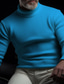 tanie sweter męski sweter-Męskie Sweter sweter Sweter z golfem Prążkowany Robić na drutach Regularny Dzianiny Równina Golf Współczesny współczesny Praca Dzienne zużycie Odzież Zima Czarny Rumiany róż M L XL