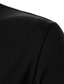 voordelige klassieke polo-Voor heren POLO Shirt Polo&#039;s met knopen Casual Feestdagen Revers Korte mouw Modieus Basic Kleurenblok Lapwerk Zak Zomer Normale pasvorm Zwart Marineblauw POLO Shirt
