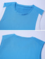 ieftine Tricouri de Sală-Bărbați Bluză Vest Top Sub Cămașă Cămașă fără mâneci Tricou Gym Muscle Bloc Culoare Stil Nautic În aer liber Ieșire Fără manșon Peteci Uscare rapidă Îmbrăcăminte Modă Designer Muşchi