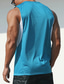 cheap Gym Tank Tops-Men&#039;s Tank Top Vest Top Undershirt Sleeveless Shirt Gym Muscle Tee Color Block Crew Neck Outdoor Going out Sleeveless Patchwork Quick Dry Clothing Apparel Fashion Designer Muscle