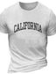 billige T-shirt med tryk til mænd-Bogstaver Californien Sort Hvid Bordeaux T-shirt Herre Grafisk Bomuldsblanding Skjorte Sport Klassisk Skjorte Kortærmet Komfortabel t-shirt Sport &amp; Udendørs Ferie Sommer Modedesigner tøj S M L XL XXL