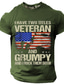 cheap Men&#039;s Graphic Tshirt-Graphic Soldier National Flag Daily Designer Retro Vintage Men&#039;s 3D Print T shirt Tee Sports Outdoor Holiday Going out T shirt Black Army Green Dark Blue Short Sleeve Crew Neck Shirt Spring &amp; Summer